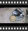 ../pictures/Akron Zoo/DSCF5054_1_small_icon.jpg